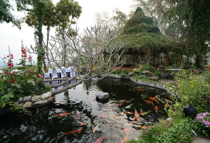 هتل Phu Chaisai Chiang Rai Mountain Resort