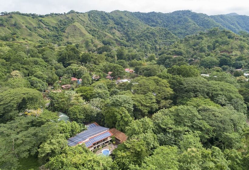 هتل Pumilio Mountain & Ocean