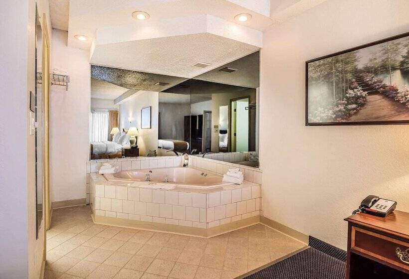 هتل Quality Inn & Suites Albany Airport