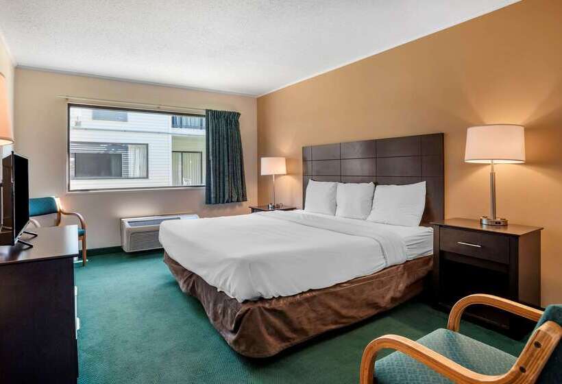 فندق Rodeway Inn & Suites