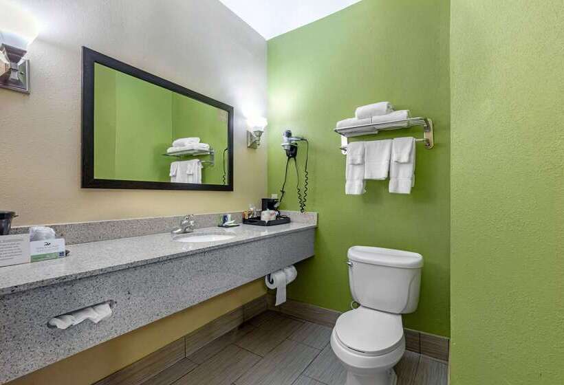 בית מלון כפרי Sleep Inn & Suites Millbrook  Prattville