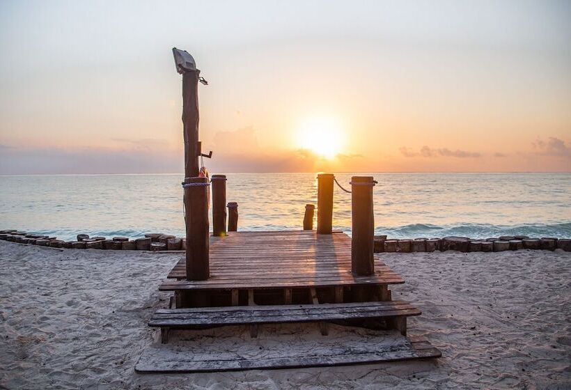 Fotos del hotel Tui Blue Bahari Zanzibar:  15