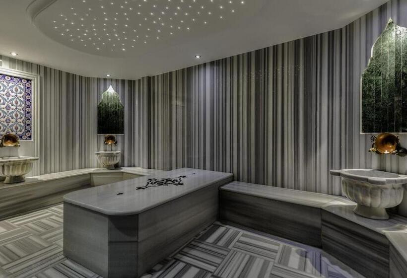 Fotos del hotel Venera:  7