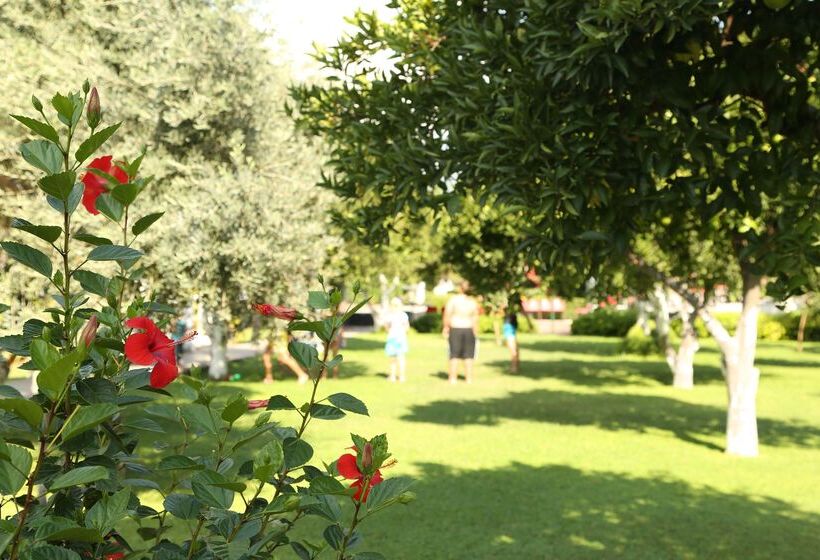 هتل Viking Garden