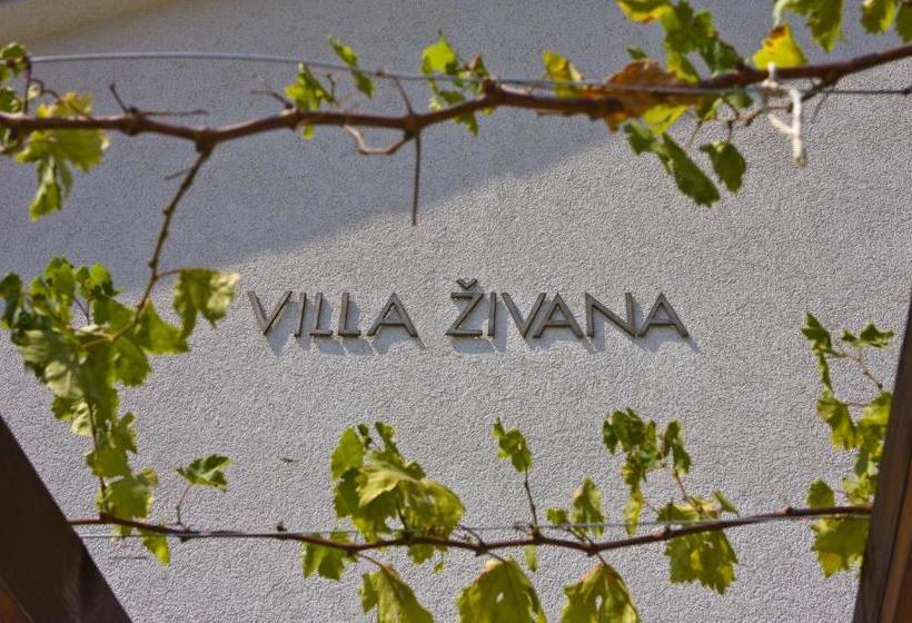 هتل Villa Zivana