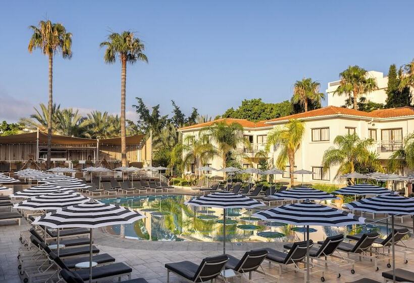 King Jason Paphos   Designed For Adults By Louis Hotels