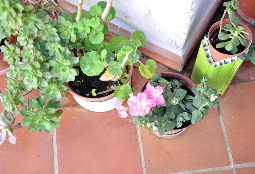 B&b Casacorì