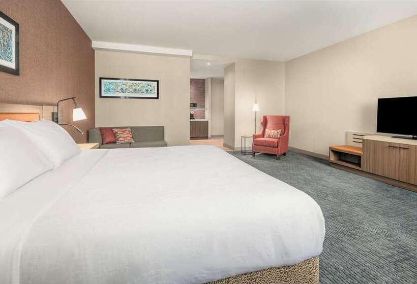 בית מלון כפרי Hilton Garden Inn Chicago Central Loop