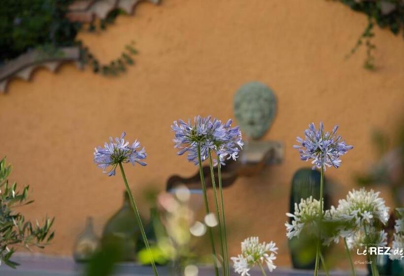 پانسیون Le Rez De Jardin Albi