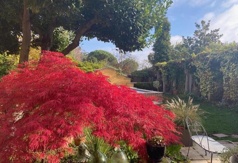 پانسیون Le Rez De Jardin Albi