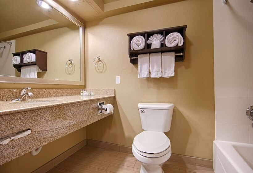 ホテル Best Western Plus Arlington North