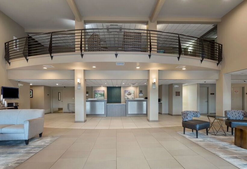 בית מלון כפרי Best Western Plus Chena River Lodge