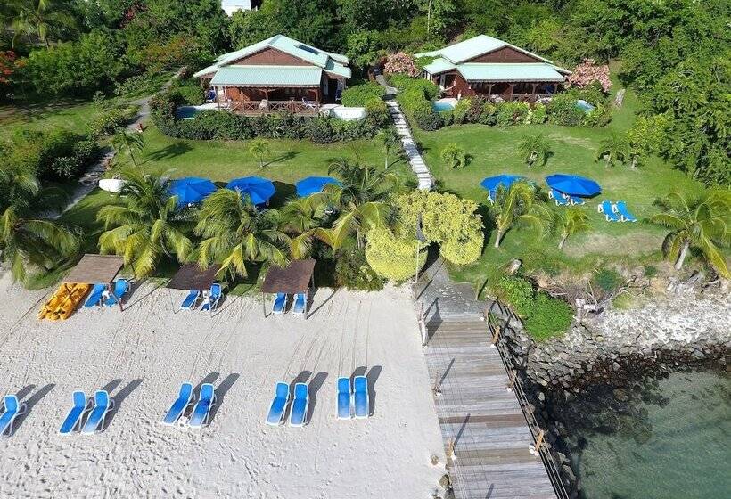 هتل Calabash Cove Resort And Spa   Adults Only