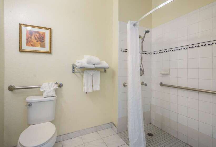 هتل Clarion Inn & Suites Central Clearwater Beach