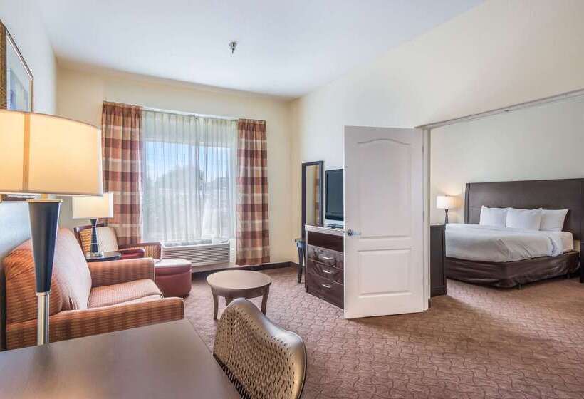 Hotel Clarion Inn & Suites Clearwater Central