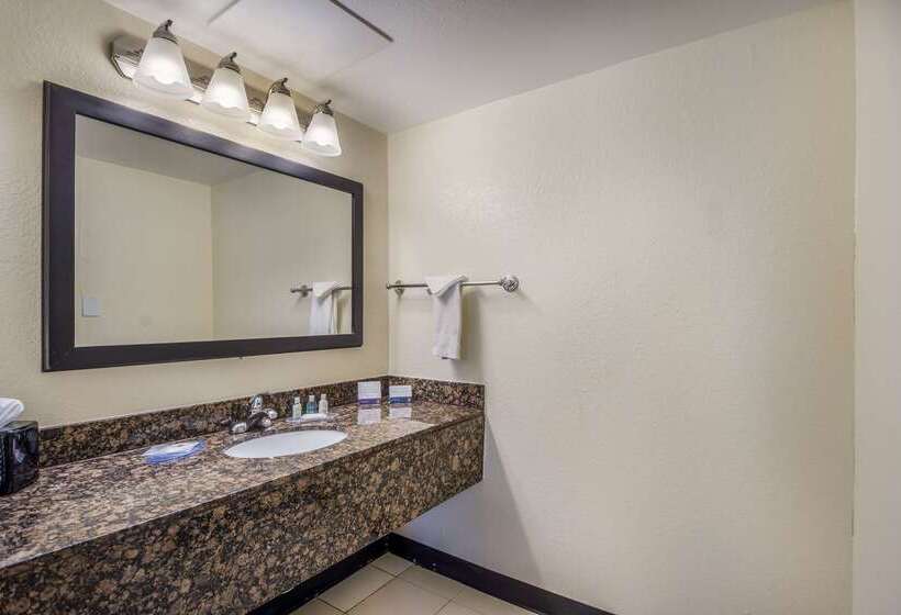 Hotel Clarion Inn & Suites Clearwater Central