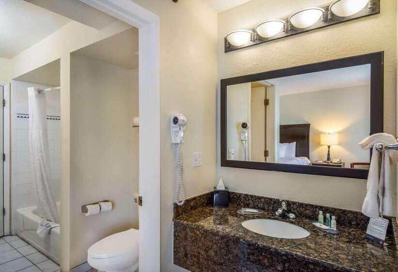 هتل Clarion Inn & Suites Central Clearwater Beach