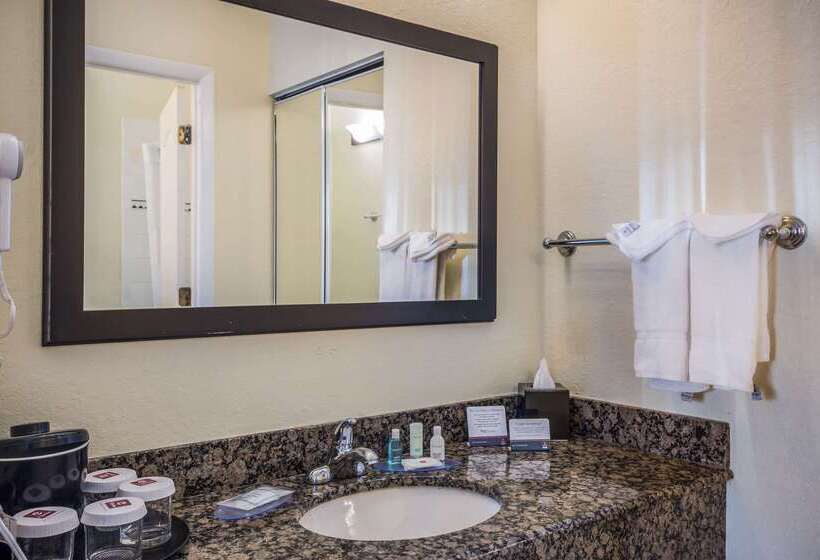 Hotel Clarion Inn & Suites Clearwater Central