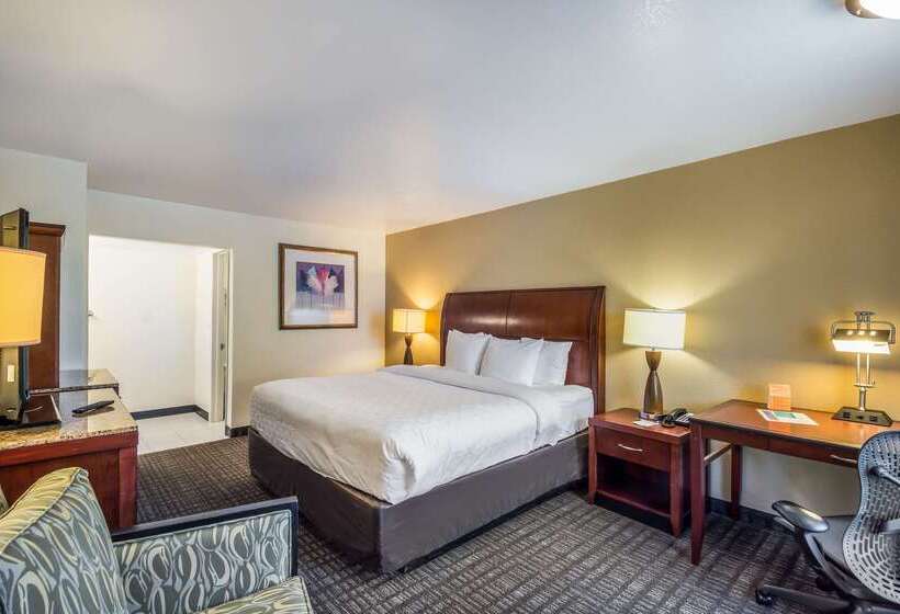 Hotel Clarion Inn & Suites Clearwater Central