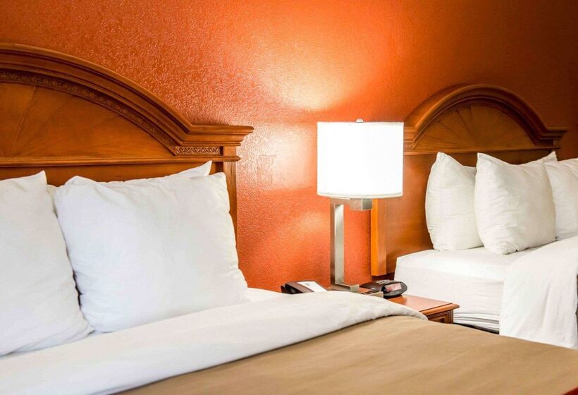 فندق Comfort Inn & Suites Panama City   St Andrew