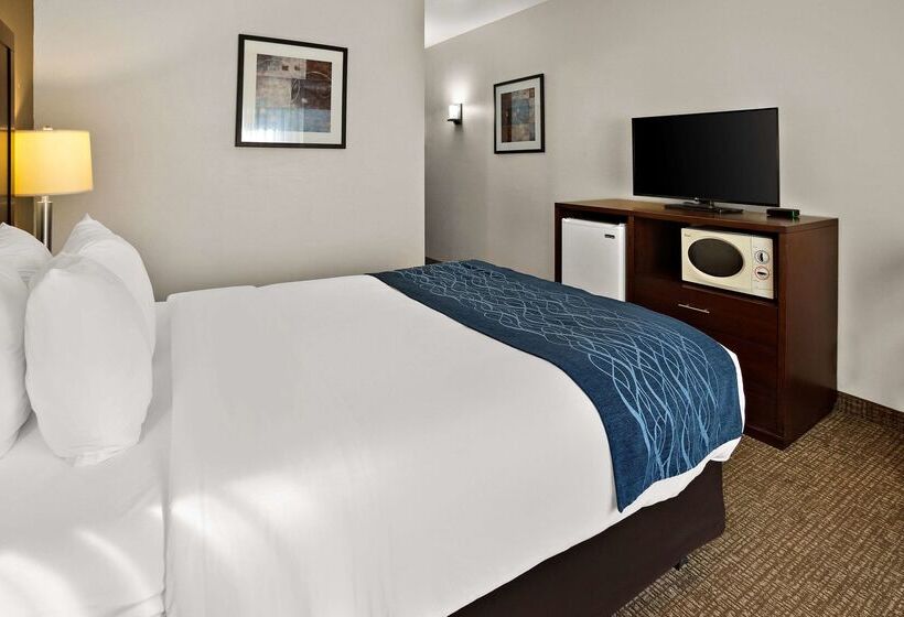 هتل Comfort Inn Lacey  Olympia