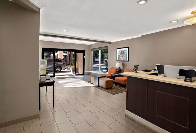 هتل Comfort Inn Lacey  Olympia
