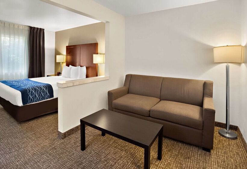 هتل Comfort Inn Lacey  Olympia