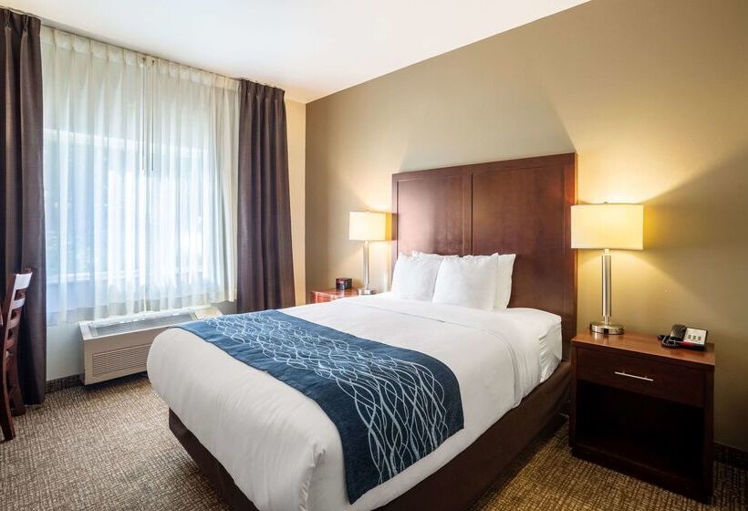 فندق Comfort Inn Lacey  Olympia