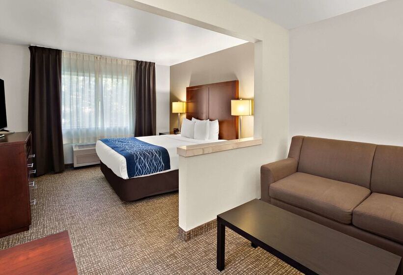 فندق Comfort Inn Lacey  Olympia