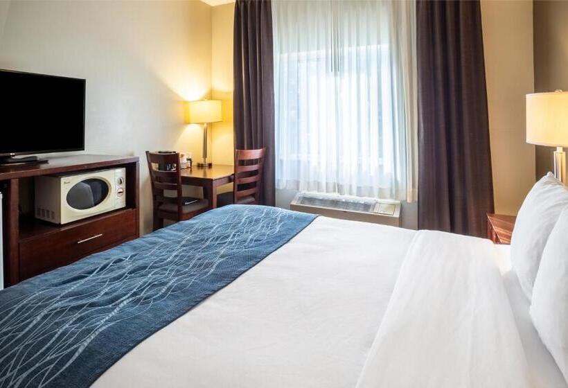 هتل Comfort Inn Lacey  Olympia