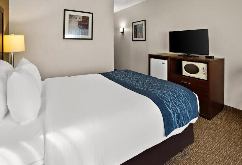 هتل Comfort Inn Lacey  Olympia