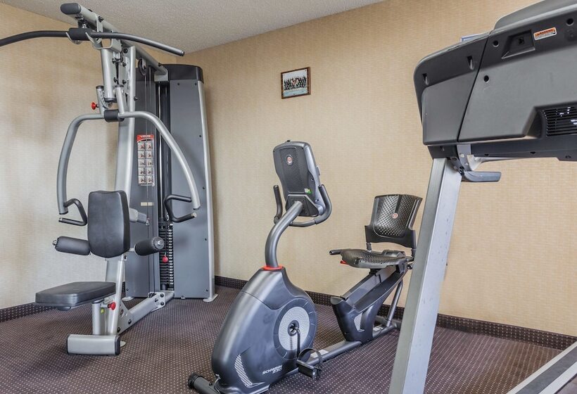 فندق Comfort Inn On The Bay