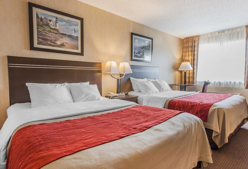 فندق Comfort Inn On The Bay