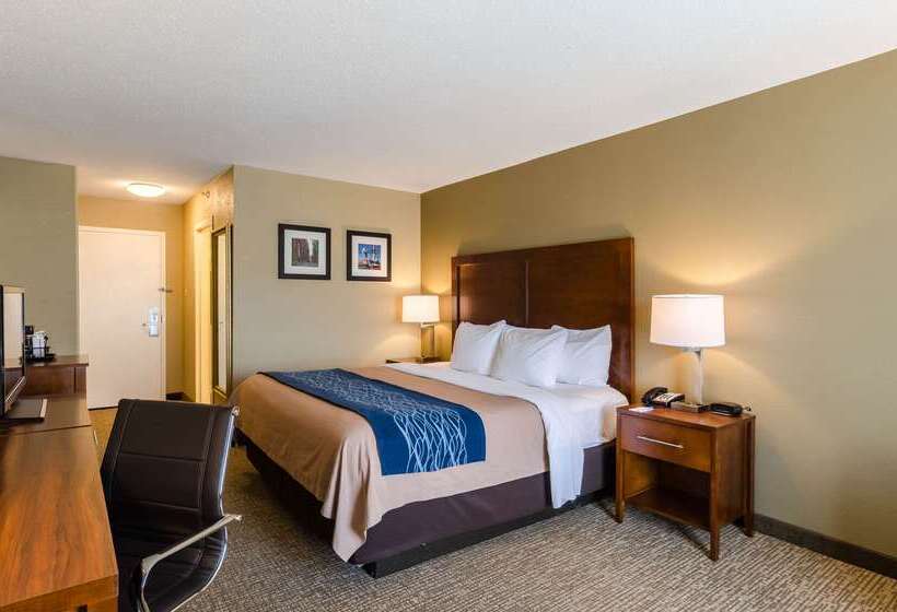 בית מלון כפרי Comfort Inn Randolph Boston