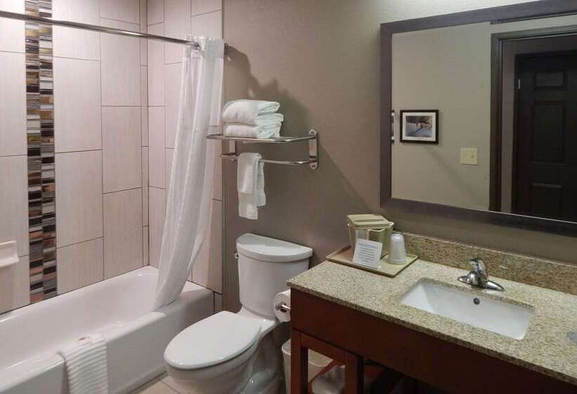 هتل Comfort Inn & Suites Las Cruces Mesilla