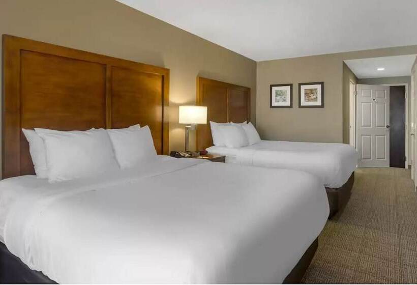 هتل Comfort Inn & Suites Peachtree Corners