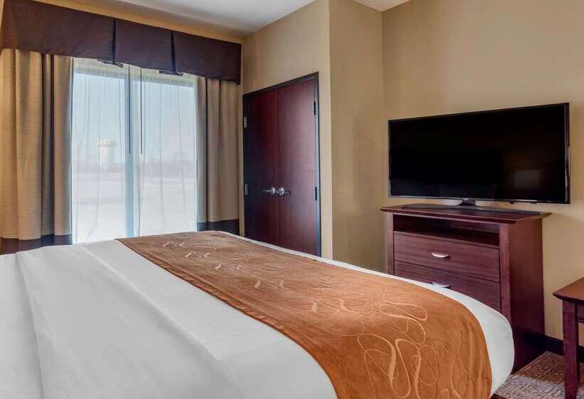 هتل Comfort Suites Airport South