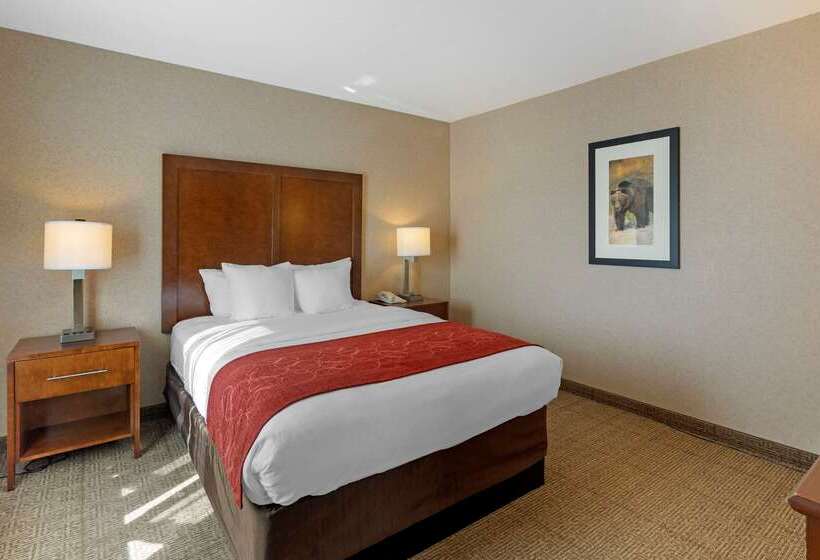 هتل Comfort Suites Anchorage International Airport