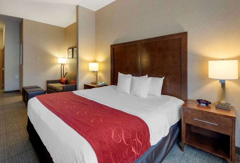 هتل Comfort Suites Anchorage International Airport