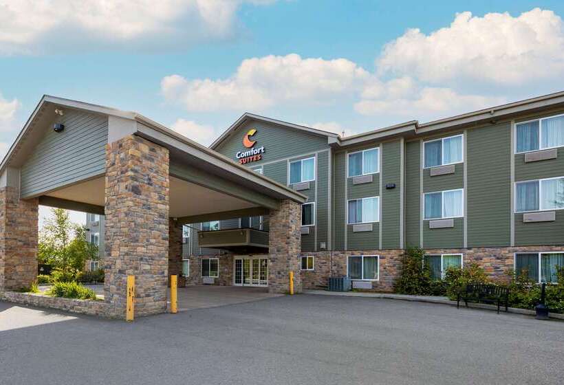 酒店 Comfort Suites Anchorage International Airport