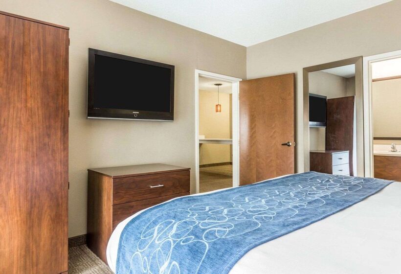 ホテル Comfort Suites At Isle Of Palms Connector