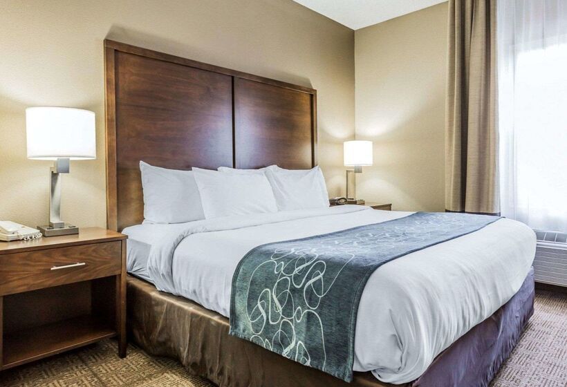 هتل Comfort Suites At Isle Of Palms Connector
