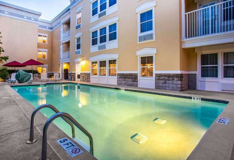 ホテル Comfort Suites At Isle Of Palms Connector