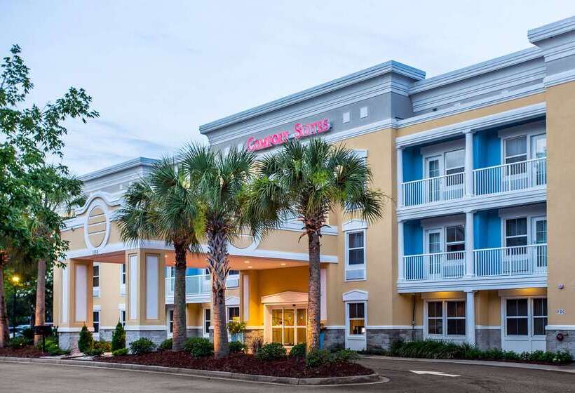 ホテル Comfort Suites At Isle Of Palms Connector