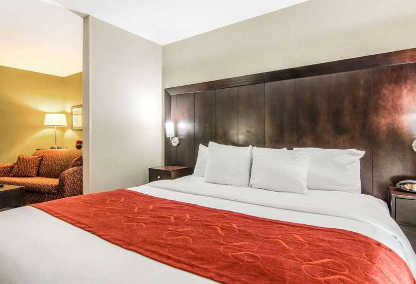 هتل Comfort Suites Bentonville  Rogers