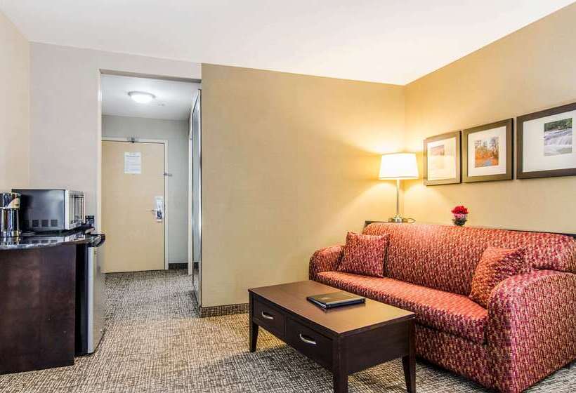 هتل Comfort Suites Bentonville  Rogers