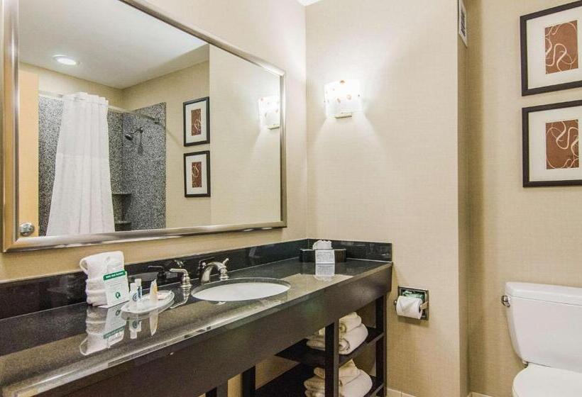 هتل Comfort Suites Bentonville  Rogers