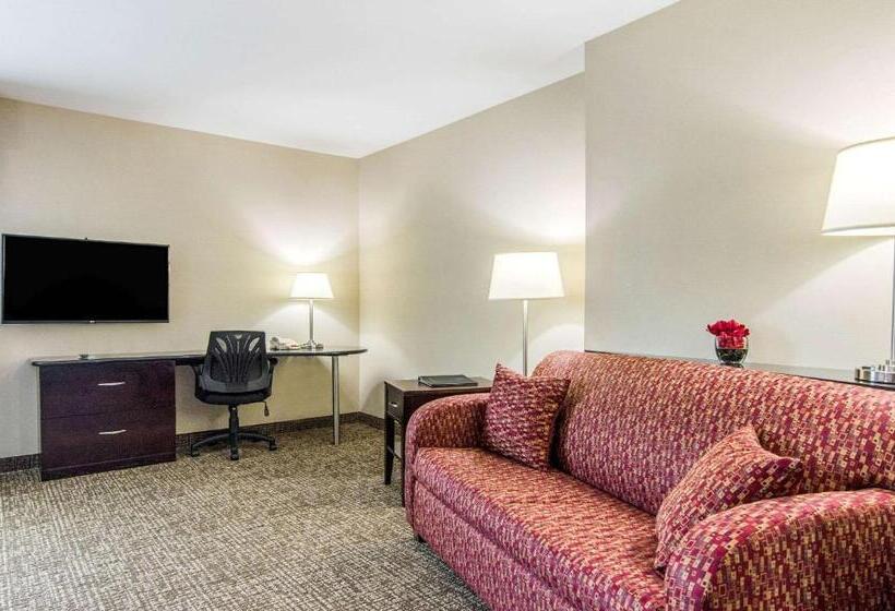 Hotel Comfort Suites Bentonville  Rogers