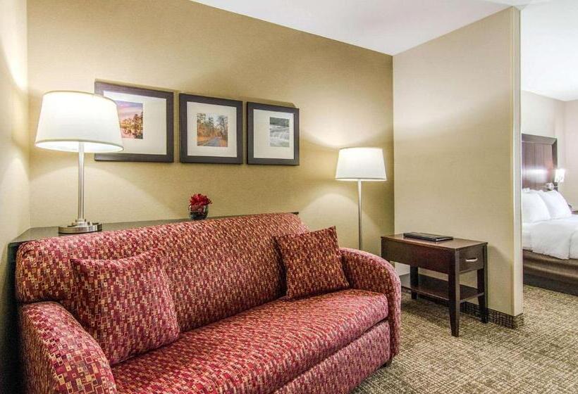 Hotel Comfort Suites Bentonville  Rogers