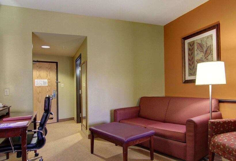 Hotel Comfort Suites El Paso West